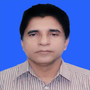 জুলফিকার আলী 